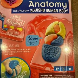 Squishy Human Body Anatomy Kit